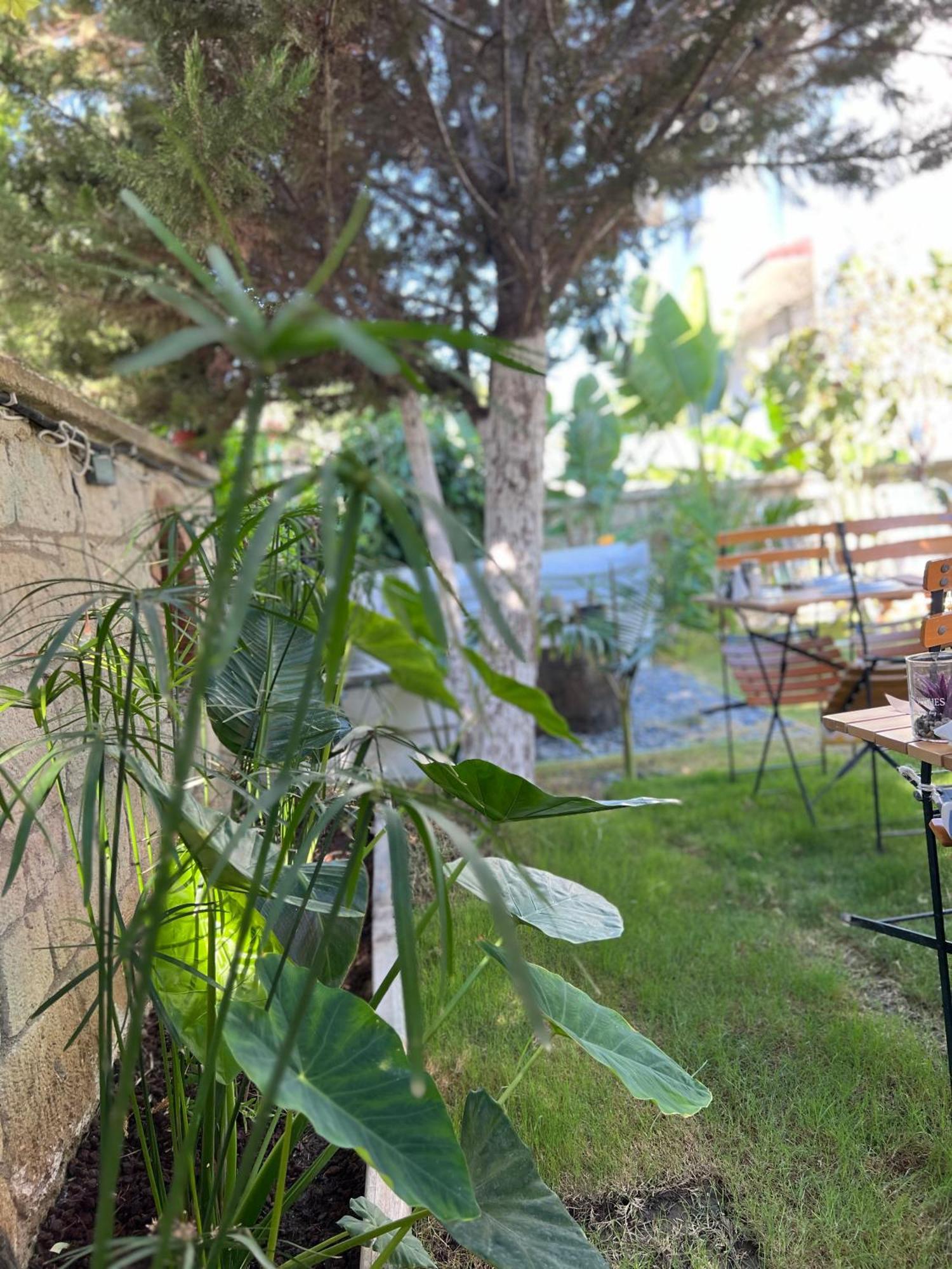 Luna Alaçatı Exteriér fotografie